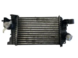 Opel Meriva B Chłodnica powietrza doładowującego / Intercooler 13283253