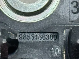 Citroen DS5 Galinė spynos kilpa 9655466380