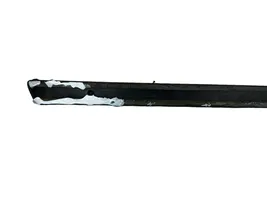 Ford C-MAX I Rear door trim (molding) 3M51R25533AD