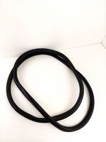 Volkswagen PASSAT B7 Front door rubber seal 3c4867911b