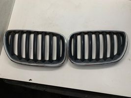 BMW X5 E53 Kühlergrill 10627110