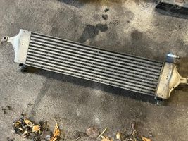 Nissan Qashqai+2 Radiatore intercooler G3062007