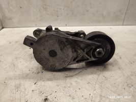 Volkswagen Golf V Napinacz paska wielorowkowego / Alternatora 03G903315A