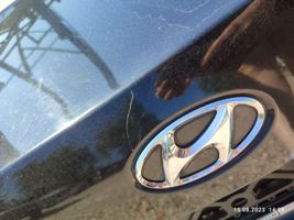 Hyundai Sonata Porte battante arrière 
