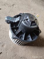 Hyundai Sonata Ventola riscaldamento/ventilatore abitacolo F008330024