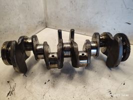 Volkswagen Touran I Crankshaft 