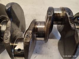 Volkswagen Touran I Crankshaft 