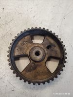 Volvo V50 Fuel pump gear (pulley) 