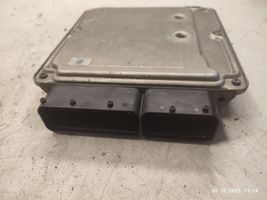 KIA Sorento Sterownik / Moduł ECU 391012F800