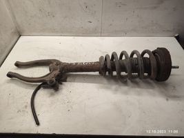 Hyundai Sonata Front shock absorber with coil spring 