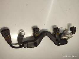 Opel Insignia A Fuel injector wires 55579262