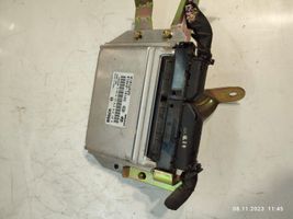 Hyundai Elantra Calculateur moteur ECU 3910127010