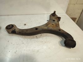 Hyundai Santa Fe Front control arm 