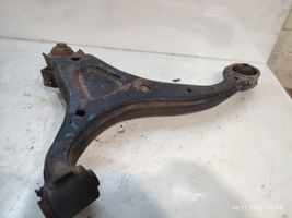 Hyundai Santa Fe Front control arm 