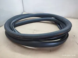 Volkswagen PASSAT B7 Front door rubber seal 3C4867911B