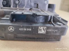 Mercedes-Benz C W205 Serratura portiera anteriore A2220063999