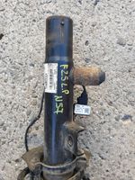 BMW X3 F25 Front shock absorber/damper 6797027