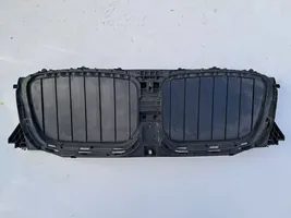 BMW X3 G01 Front bumper upper radiator grill 5A1DA48