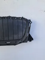 BMW X3 G01 Front bumper upper radiator grill 5A1DA48