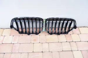 BMW X1 F48 F49 Front grill 8493451