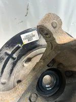KIA Sorento Rear wheel hub spindle/knuckle 