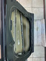 Hyundai Santa Fe Front door 