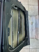 Hyundai Santa Fe Front door 