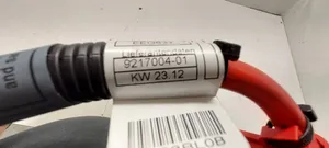 BMW X5 E70 Câble de batterie positif 188861