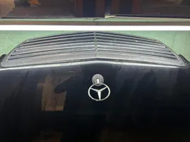 Mercedes-Benz E W211 Vano motore/cofano 