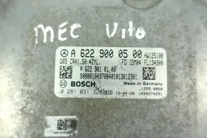 Mercedes-Benz Vito Viano W447 Centralina/modulo motore ECU A6229000500