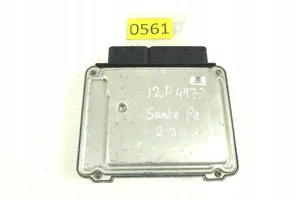 Hyundai Santa Fe Motorsteuergerät ECU 0281017259