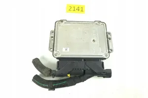 LDV Maxus Centralina/modulo motore ECU 0281012165