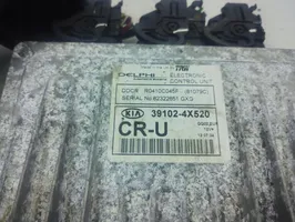 KIA Carnival Engine control unit/module ECU 39102-4X520