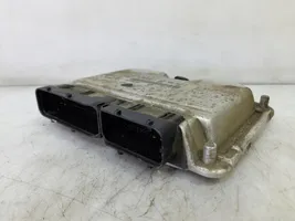 Seat Ibiza III (6L) Unité de commande, module ECU de moteur 038906012C