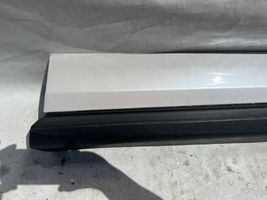 Ford Edge II Front door trim (molding) AT4BR20306AD