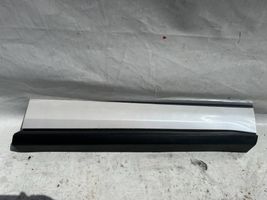 Ford Edge II Front door trim (molding) AT4BR20306AD