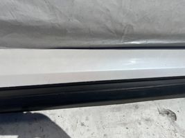 Ford Edge II Front door trim (molding) AT4BR20306AD