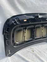 Hyundai Santa Fe Engine bonnet/hood 