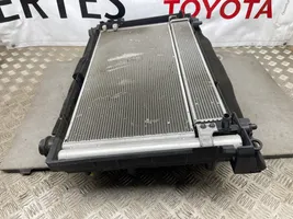 Toyota Prius (XW30) Kit Radiateur 1002221377