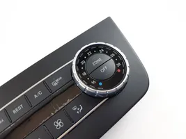 Mercedes-Benz GLE (W166 - C292) Climate control unit A1669003417