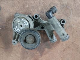 Pontiac Firebird Napinacz paska wielorowkowego / Alternatora 24508594