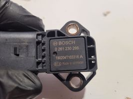 Volkswagen Polo IV 9N3 Air pressure sensor 0261230266