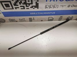 Seat Altea Amortizatorius galinio dangčio 5P5827550A