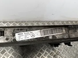 Mercedes-Benz E W213 Radiador del refrigerante A0995007303