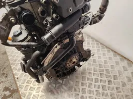 Volkswagen Jetta V Engine BKC