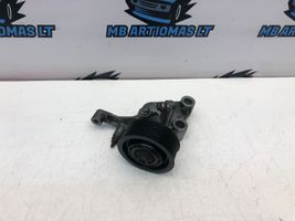 Lexus IS 220D-250-350 Napinacz paska wielorowkowego / Alternatora 1663126010