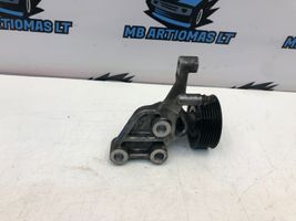 Lexus IS 220D-250-350 Napinacz paska wielorowkowego / Alternatora 1663126010