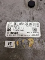 Mercedes-Benz GLK (X204) Sterownik / Moduł ECU A6519002501