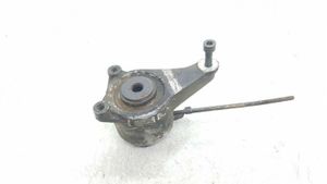 Mercedes-Benz E W124 Napinacz paska alternatora 1022022840