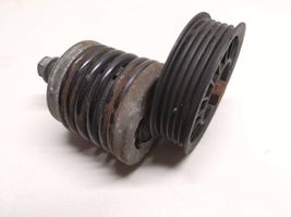 Audi A4 S4 B5 8D Napinacz paska wielorowkowego / Alternatora 